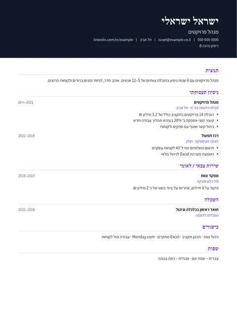 תבנית מנהלים: דוגמה של קורות חיים